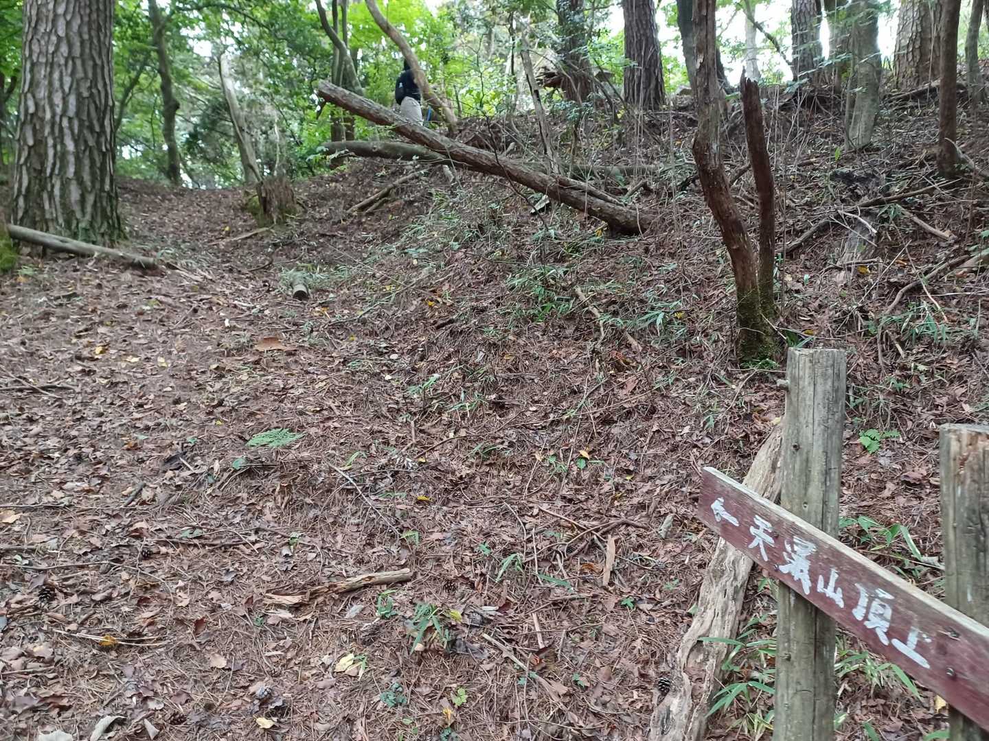 天瀑山頂上に向かいます