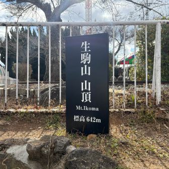 どんより曇ってた山頂、止まると寒いので遊園地を3周歩く