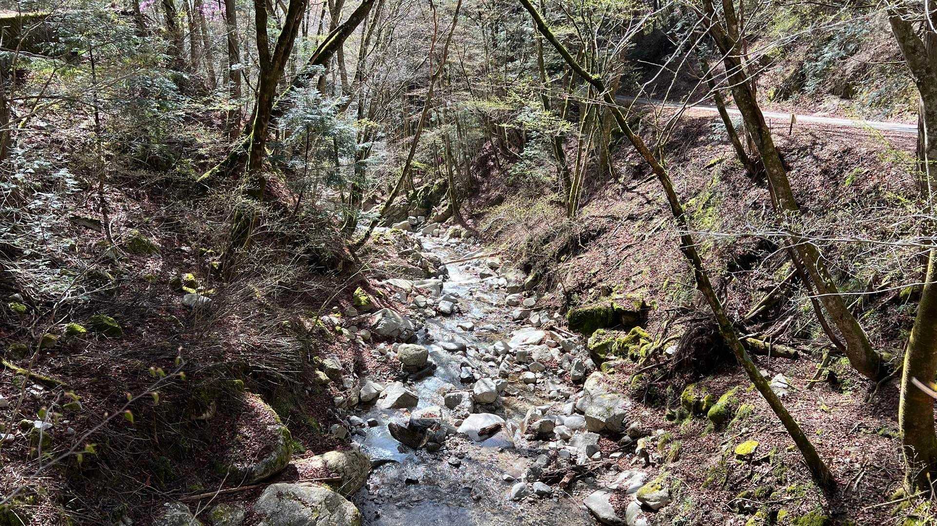 焼山 往復コースの写真