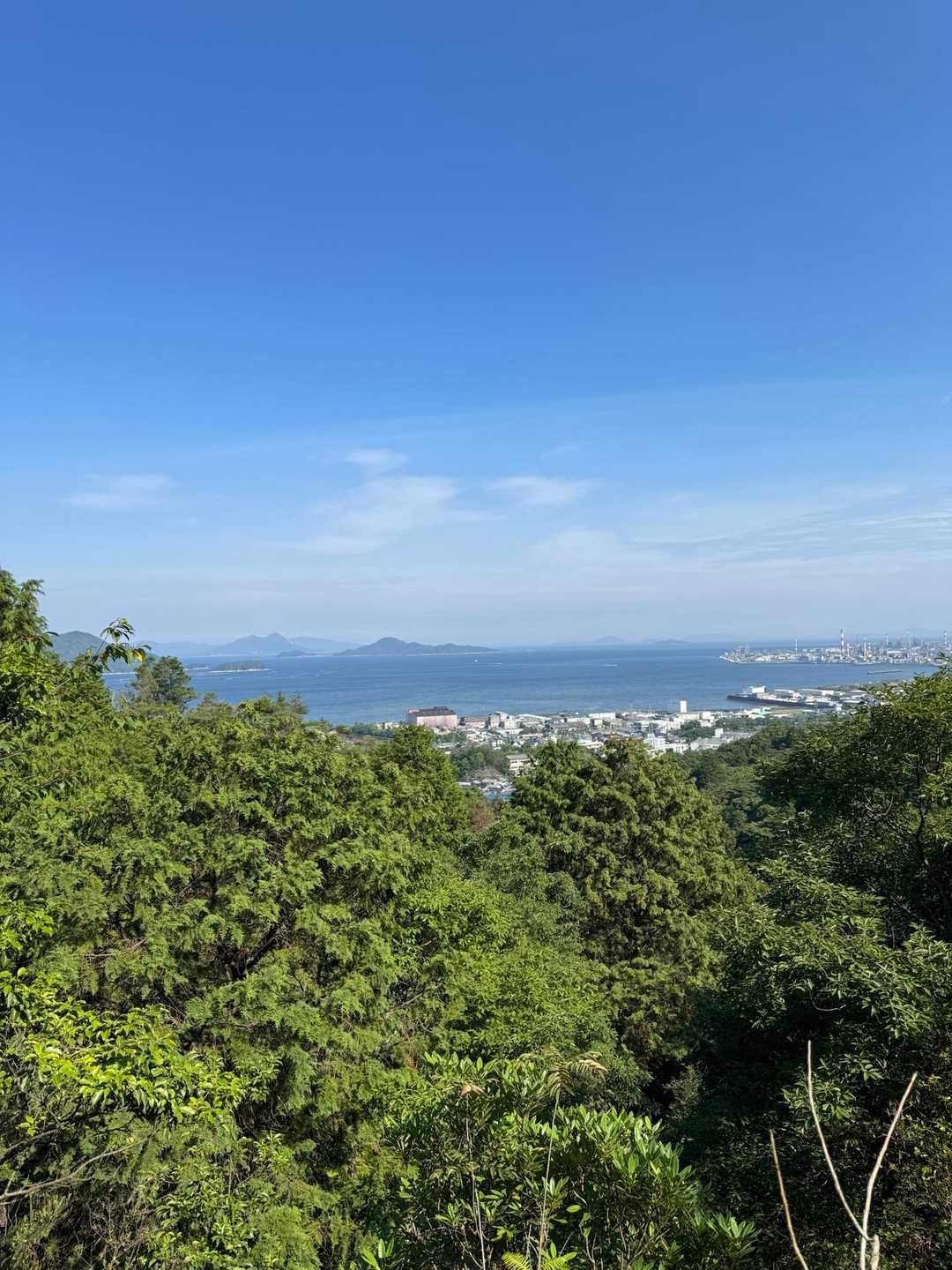 行者山 縦走コースの写真