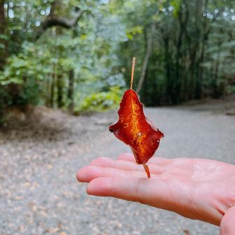 くるみんユーザー