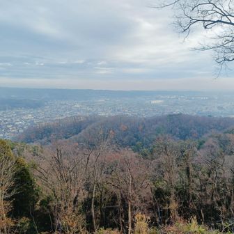 大きく息を吸って深呼吸。ストレス解消のひととき。辛い仕事を忘れられるひととき。