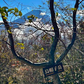 烏帽子岳山頂から、富士山が見えました