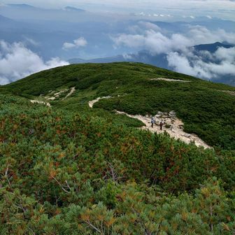 なだらかな八方尾根