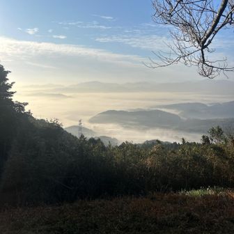 靄がかかって素晴らしい😀