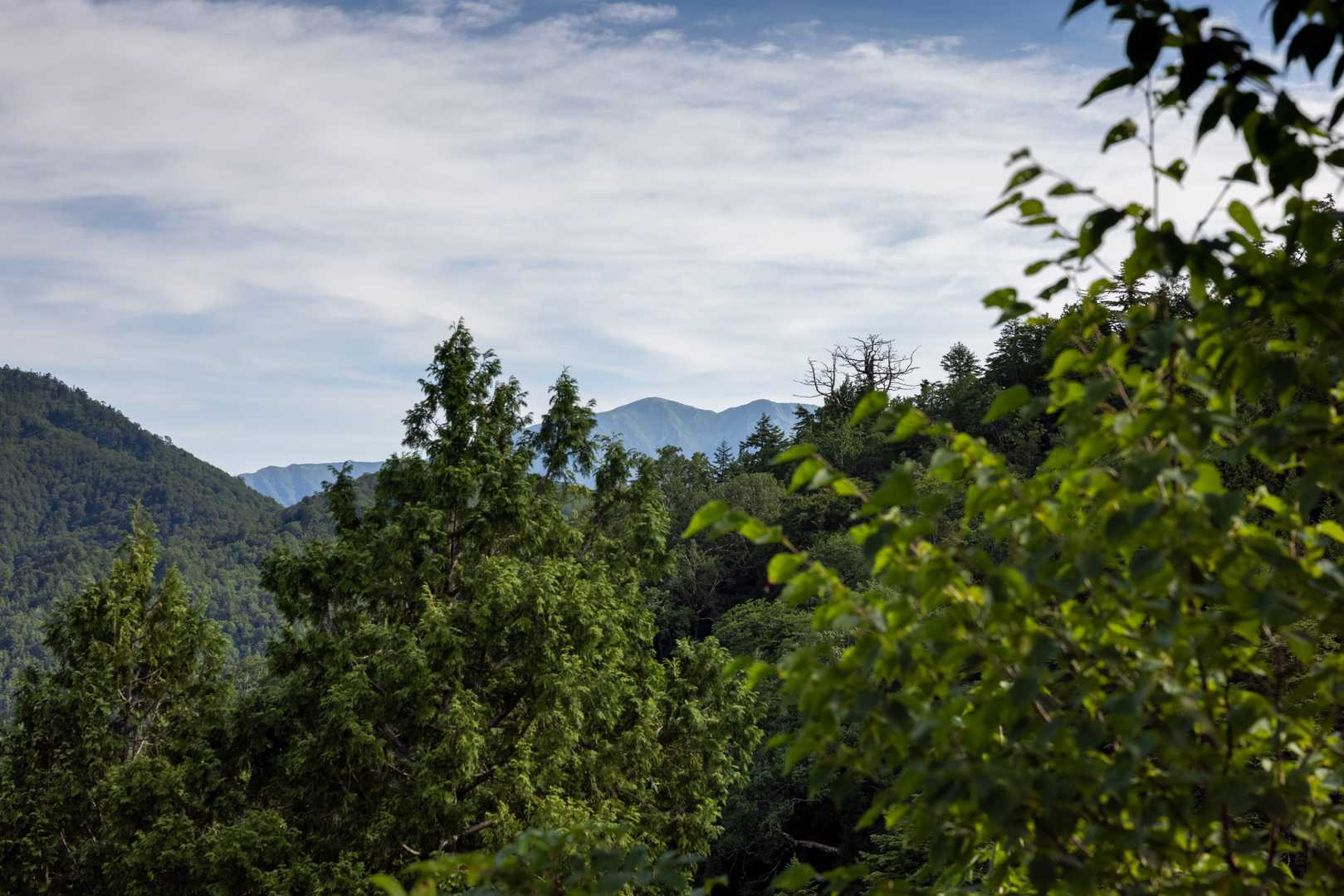 本当は夜に登山口まできて、涼しいうちの4時くらいから登ろうと思ったのに。でもこの時間でも涼しくて良かった。