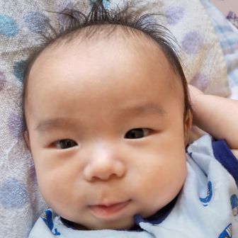 けいとんちゃん