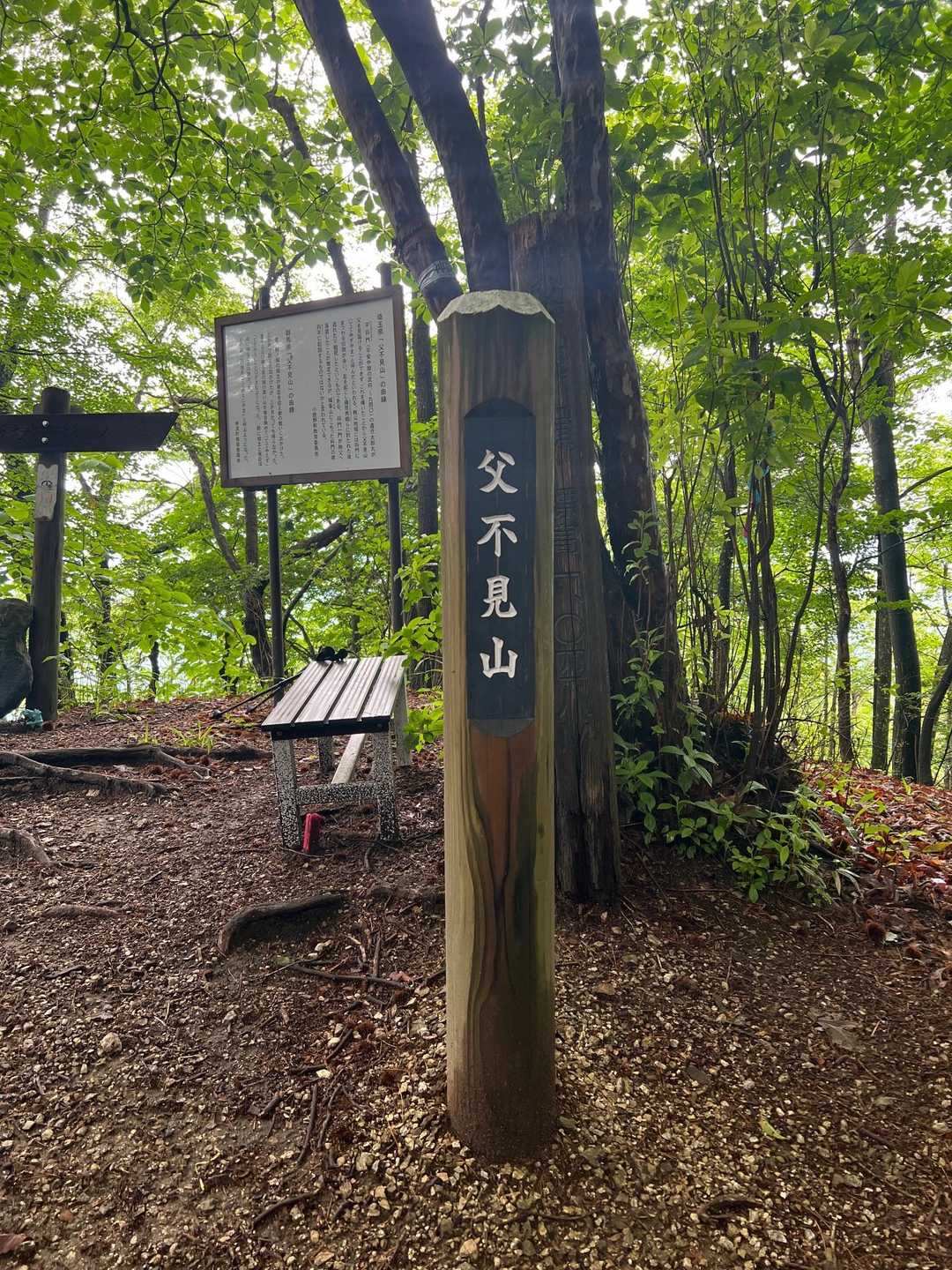 登頂。こんなに、樹木に囲まれて、展望無しの名山山頂は珍しい。