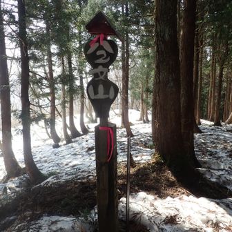 八乙女頂上、そこは林の中