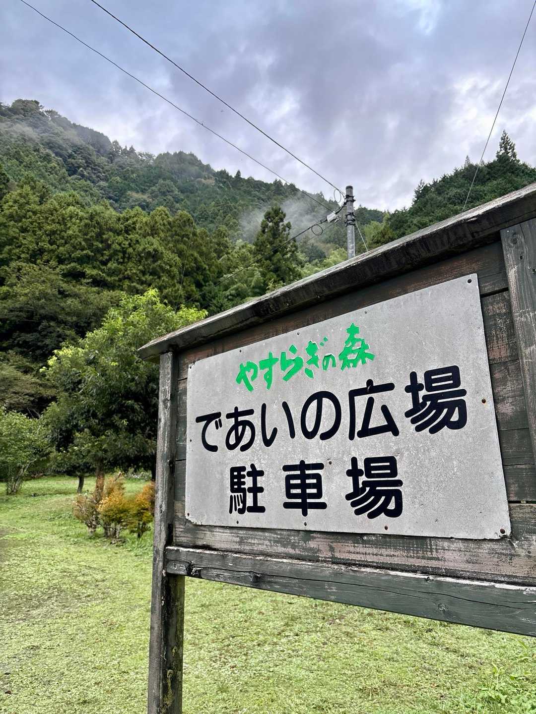 こんな🌫️☔️お天気ですもの
誰とも出会えませんでした...😅
安定のぼっち👍