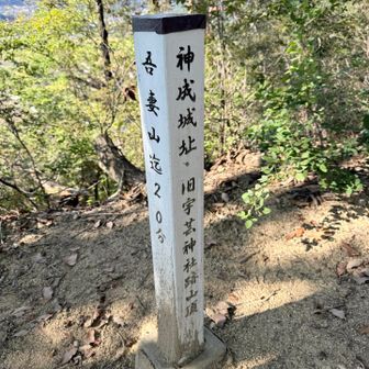 ゴールまで約20分の標識