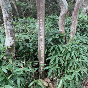 蛇谷北山