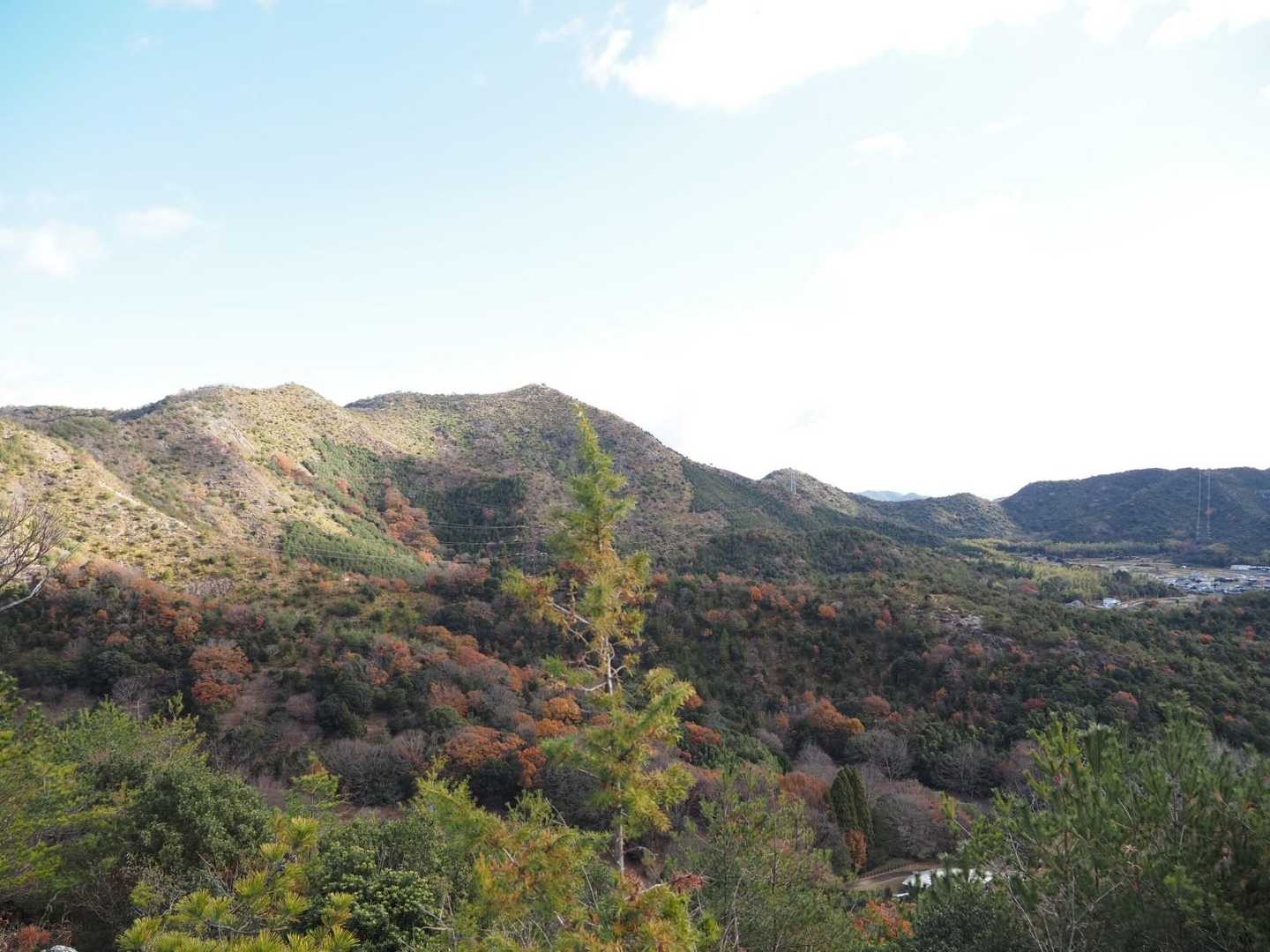 馬の背登山口-桶居山 往復コースの写真