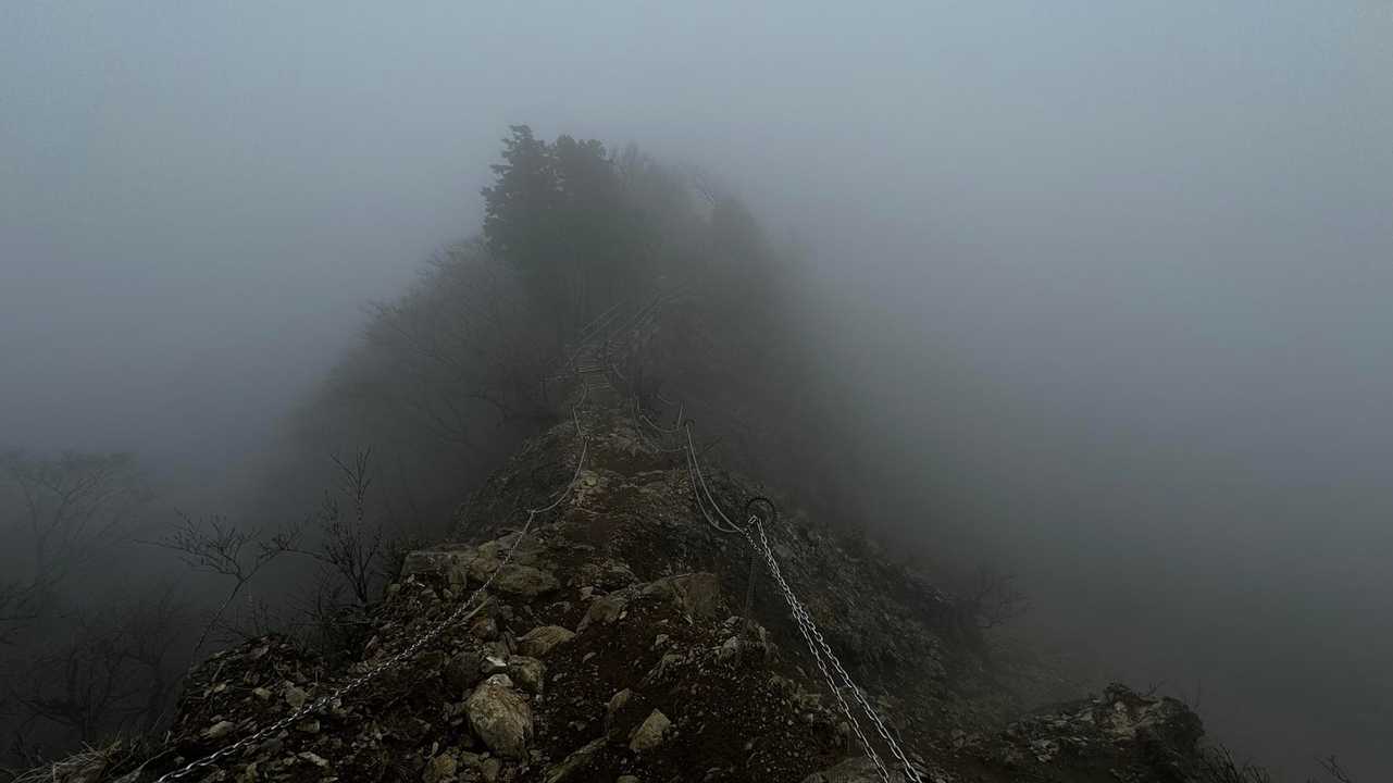 鍋割山・塔ノ岳・烏尾山縦走 の写真 40