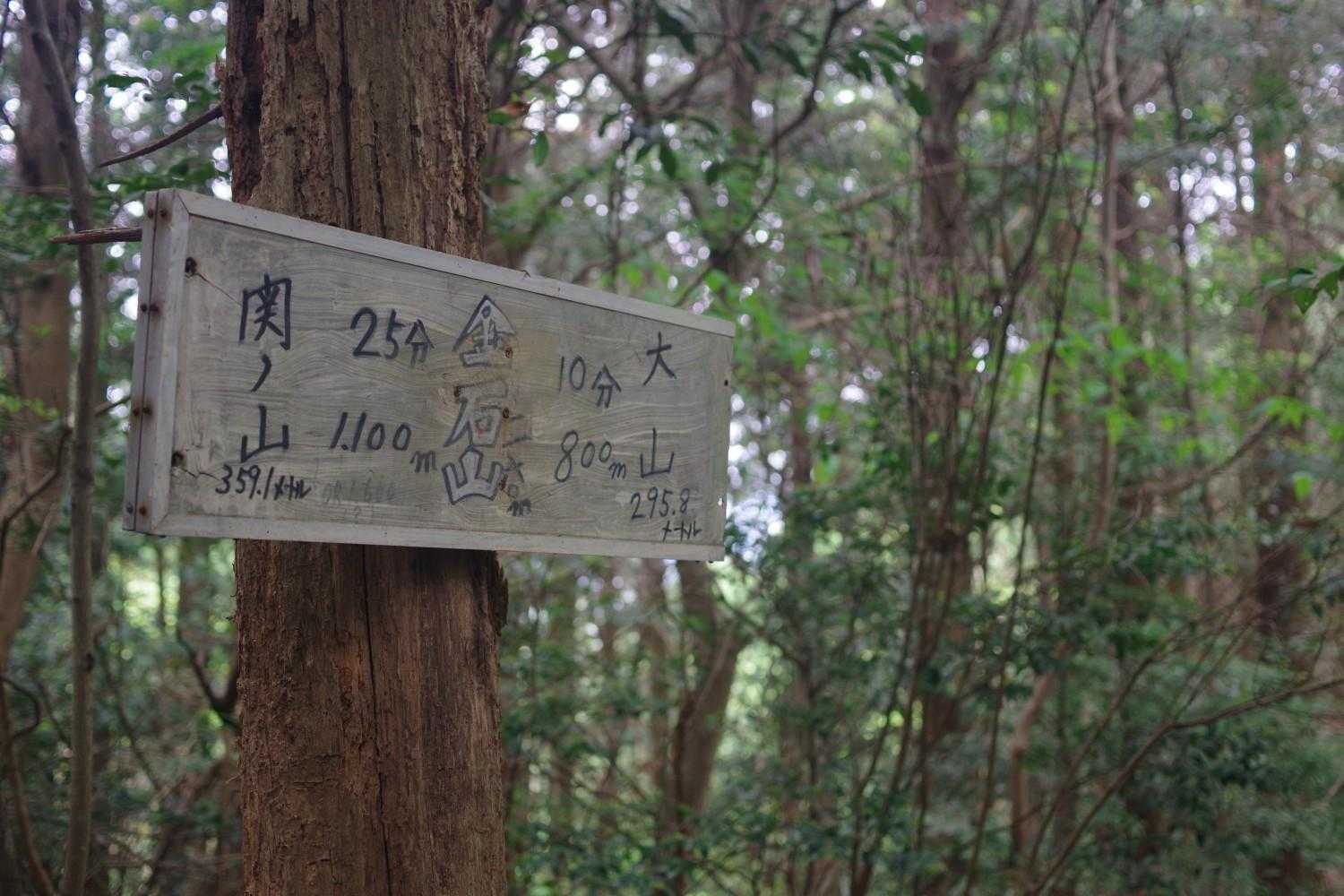稜線はとても歩きやすいです😊