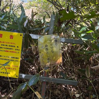 「山登りプロでも命落とします」
の看板、絶対にここを通らせたくないんやろうね⚠️