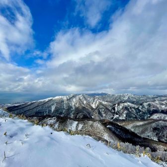 癒されます☺️