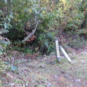 10分ほど舗装路歩いて、橅尾根の登山道に