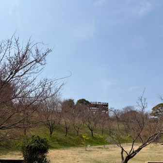 ここ絶対すごいよ！！
今度は父も一緒に絶対来ようね🤗