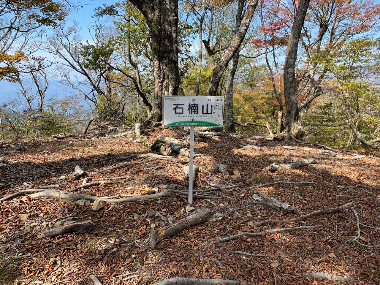 石楠山（しゃくなんやま）