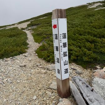 復路は
鉱山道を下り蓮華温泉に戻ります٩( ᐛ )و