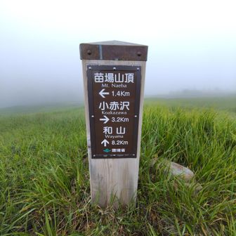 とにかく山頂へ