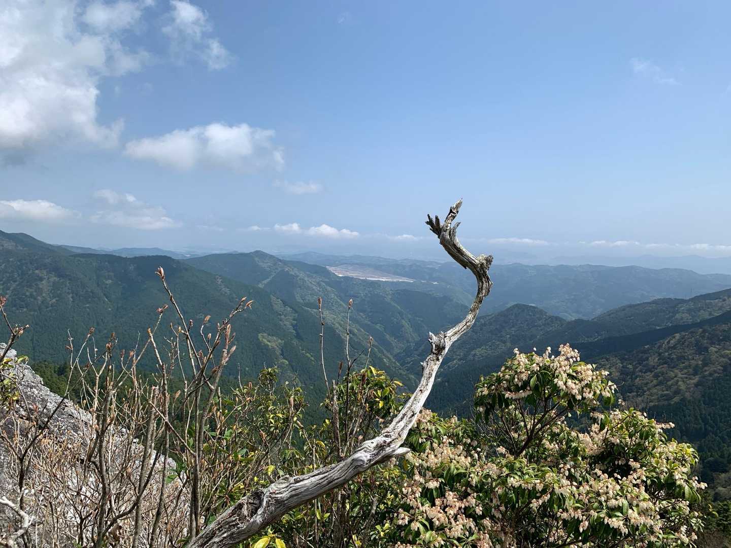 アセビ越しの風景🥰