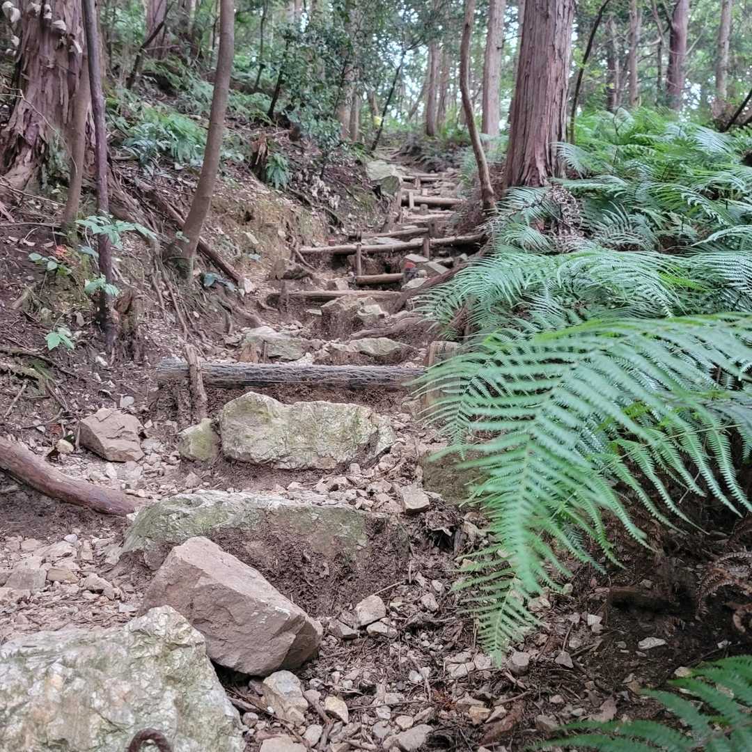 これが、、
なかなかヾ(ﾟдﾟ;)
的場山の両見坂より　
かなりきつめ😞💦