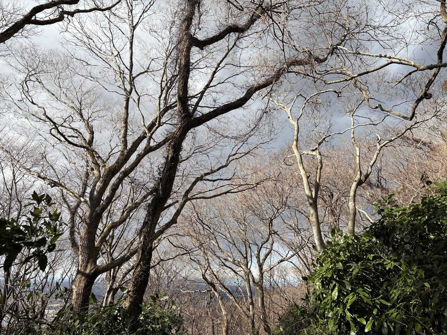 下山中、雲行きが怪しくなり
雪が降ってきました