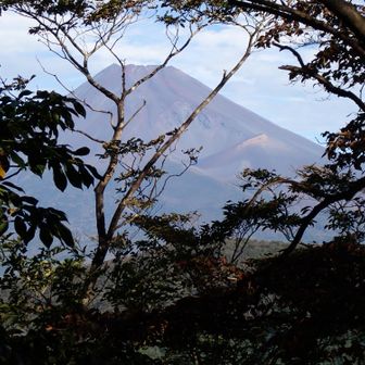 大岳山頂は、木々の中。
辛うじて、富士山を見ることができました。
