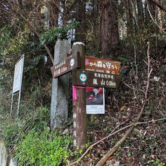 嵐山へ⛰️ここから余り記憶が無いです😅
