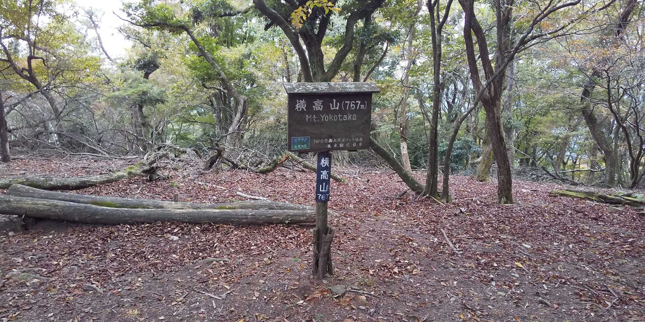 横高山の写真
