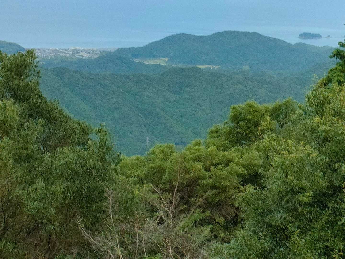 朝熊岳道-朝熊岳 往復コースの写真