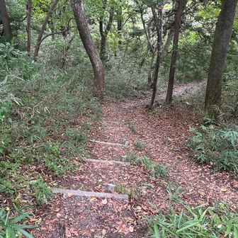周回ルートで下山します🥾