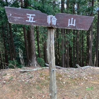 五輪山（ごりんやま）770m