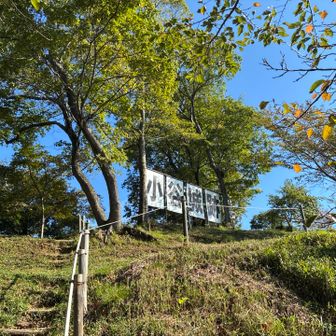 下から見えていた小谷城跡🏯の看板が目の前に。