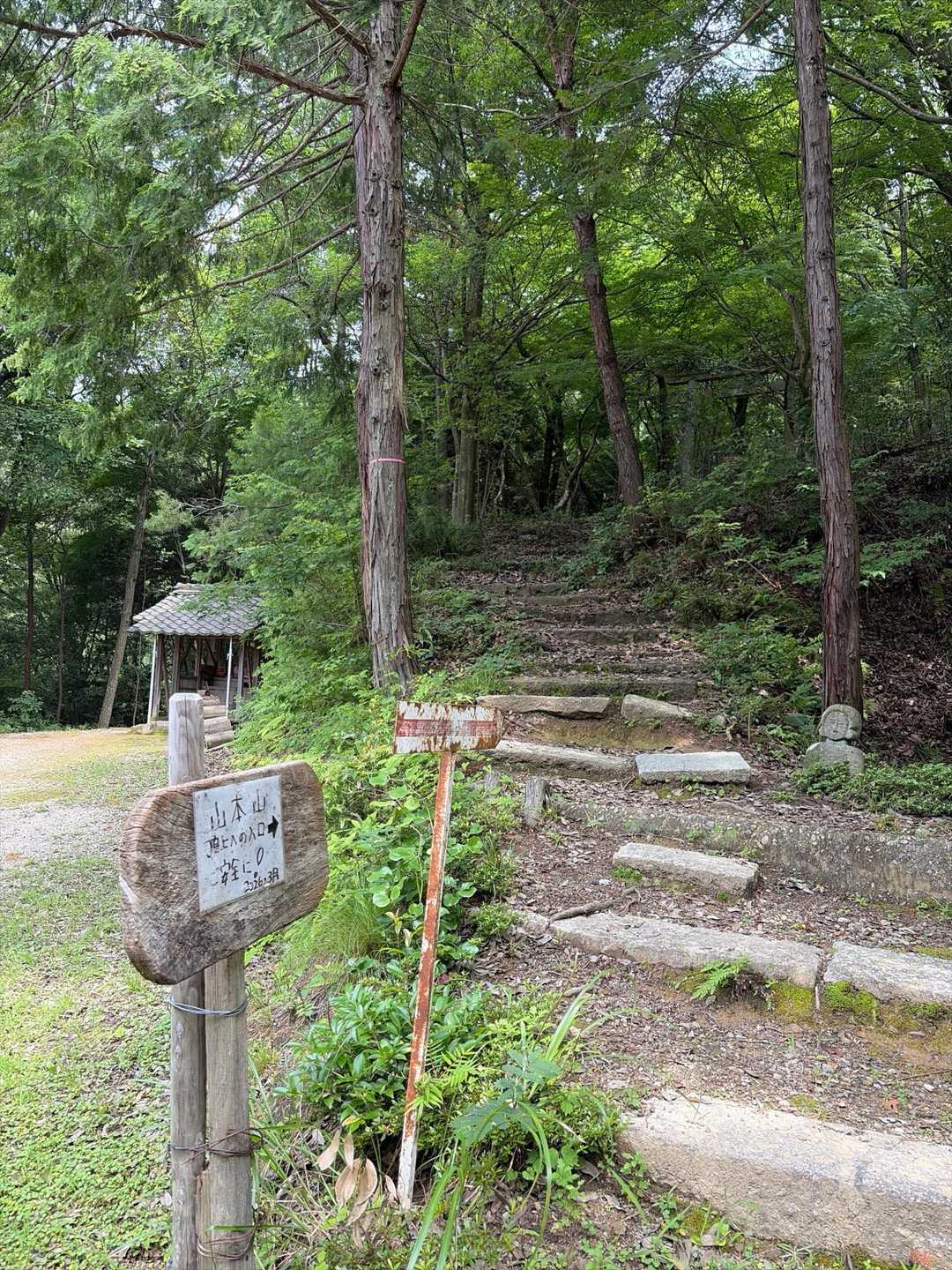 ここから登山道です
