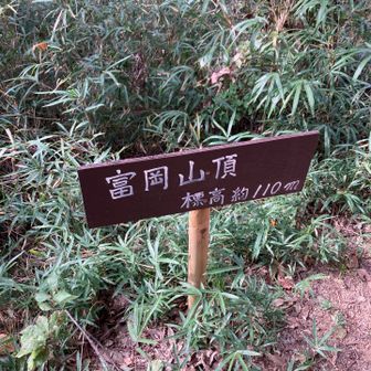 110メートルの山頂
