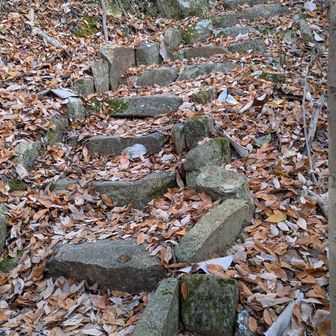 頂上直下の石段　今回のルートでは一番の急登でした。