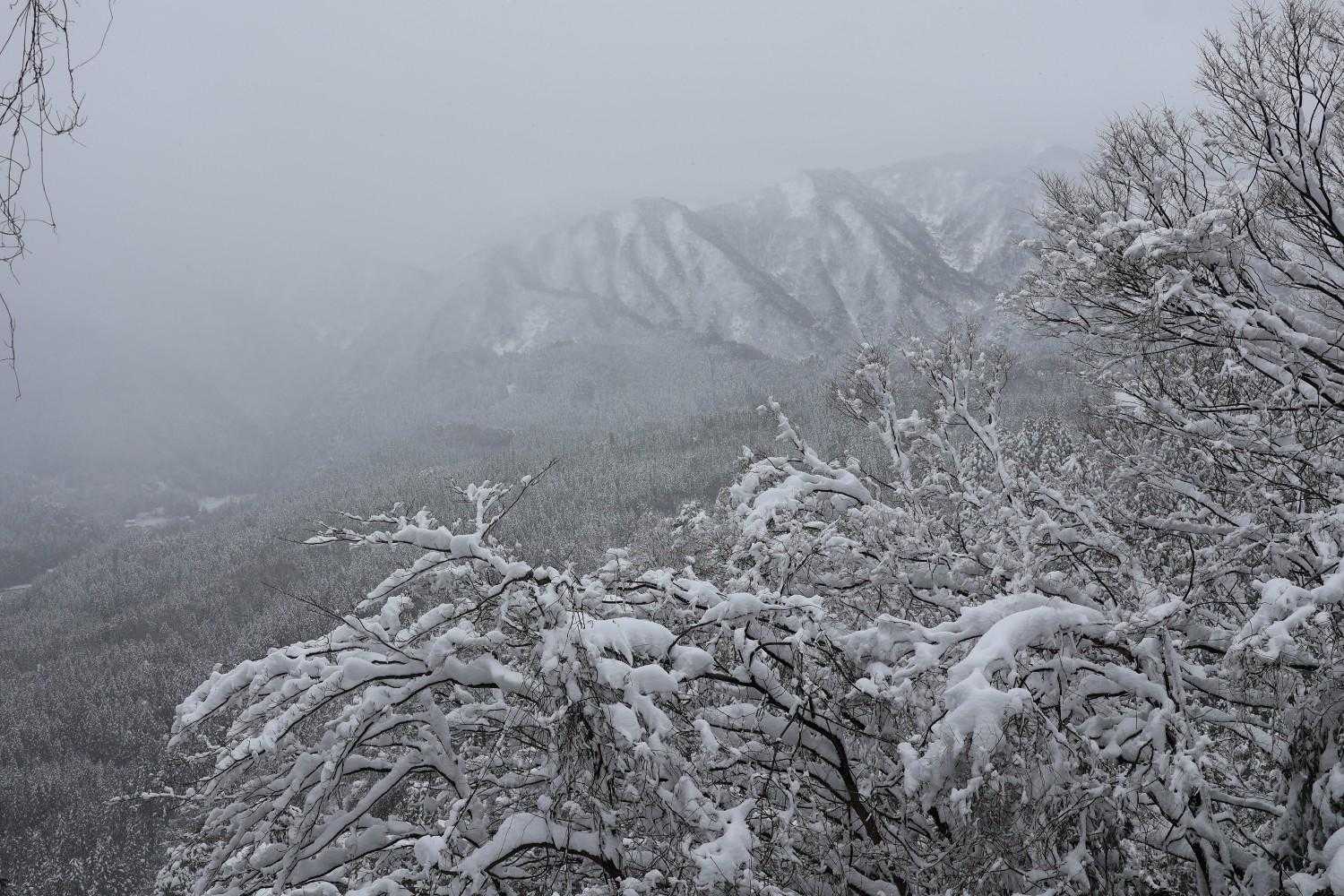 奥馬鬣山から　山見えず