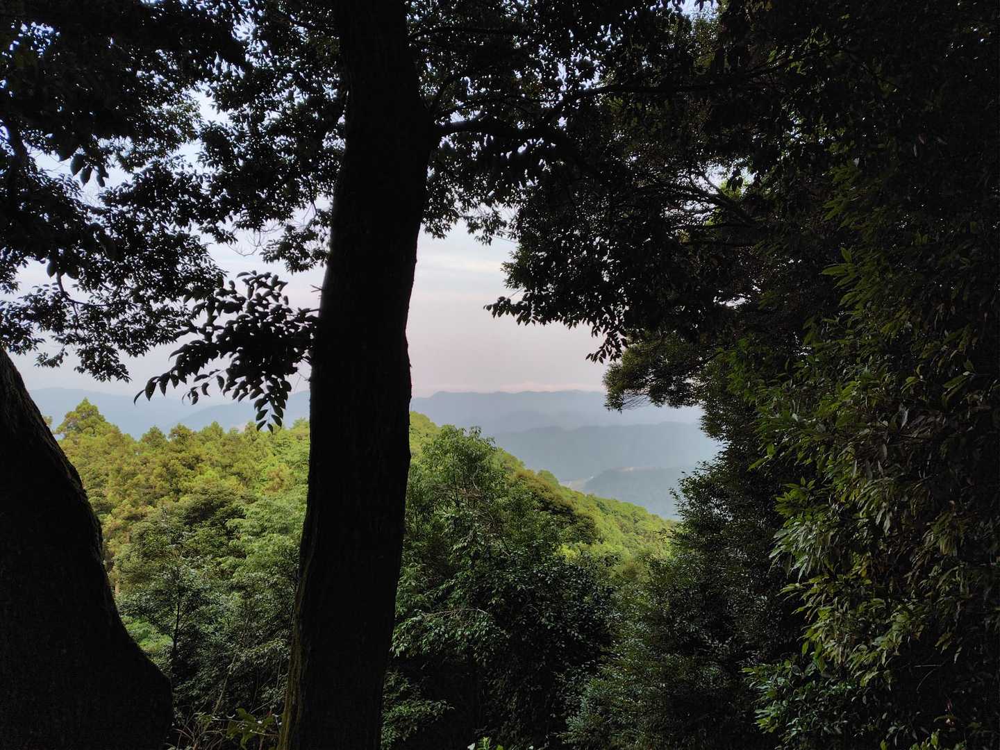 国束山 往復コースの写真