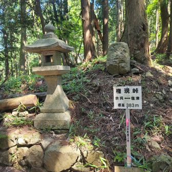 「権現峠」まできたー🐾
ここまで来るのに、
倒木がかなり多く大変です💦