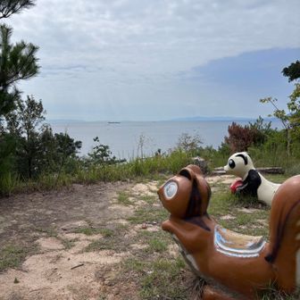 🐿️🐼　眺めいいね