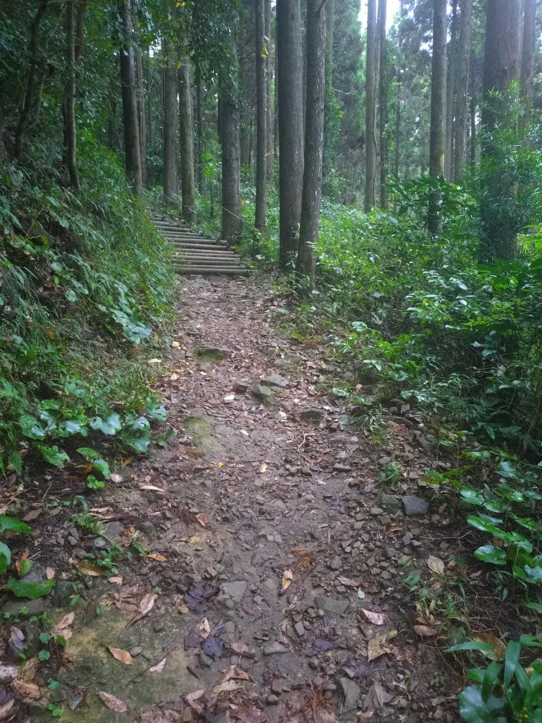 気分が乗ってきたのでスピードをあげたいと⋯