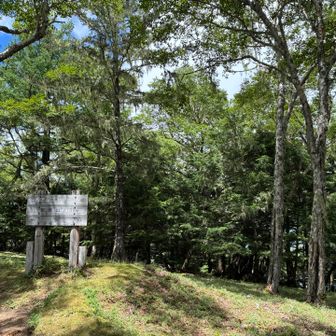この後の下山で滑ったり、転んだり⁉️
お騒がせしてすみませんでした🙇
雨が降る前だったので汚れなくて良かった。
