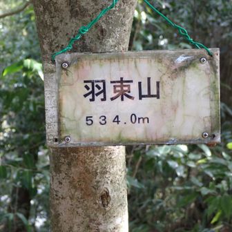 もう一つの看板には524mとなっている。正解は524mかな？
