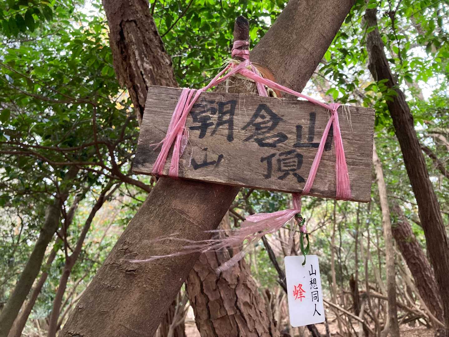 朝倉山（岐阜県）の写真