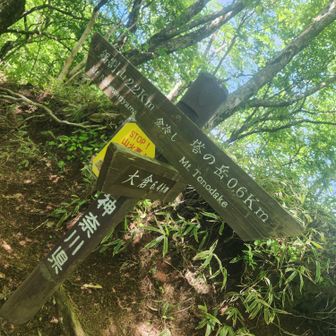 金冷し、以前２度ほど大倉尾根を下ってますが、左の鍋割山から