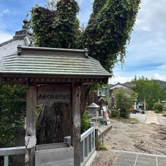霊木アララギ
アララギ大師がいるのわかりますか？