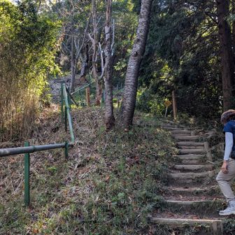 続く階段
階段の写真いっぱいあるけれど、階段されど階段。